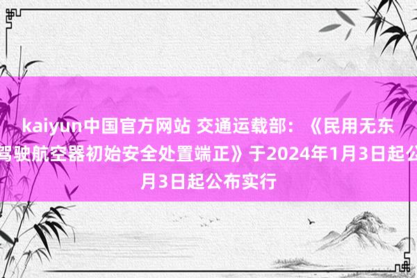 kaiyun中国官方网站 交通运载部：《民用无东说念主驾驶航空器初始安全处置端正》于2024年1月3