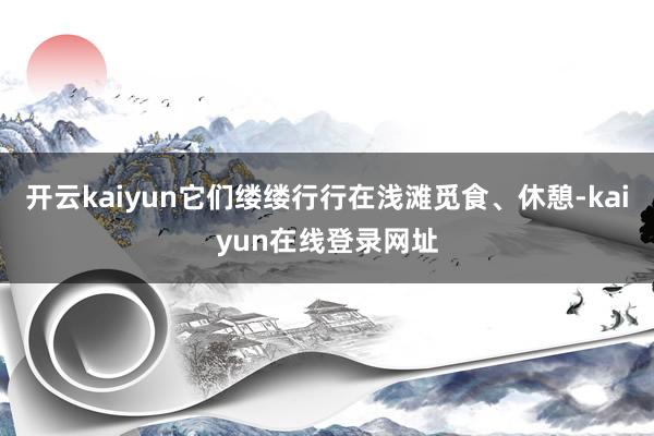 开云kaiyun它们缕缕行行在浅滩觅食、休憩-kaiyun在线登录网址